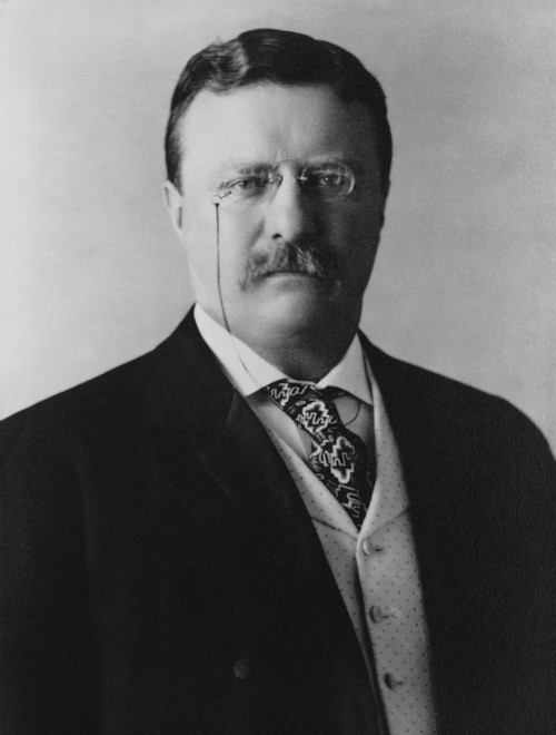 파일:President_Theodore_Roosevelt,_1904.jpg
